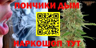 mdpv Дубна